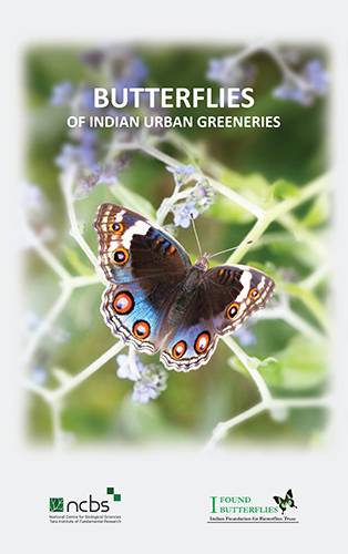 Urban Greeneries