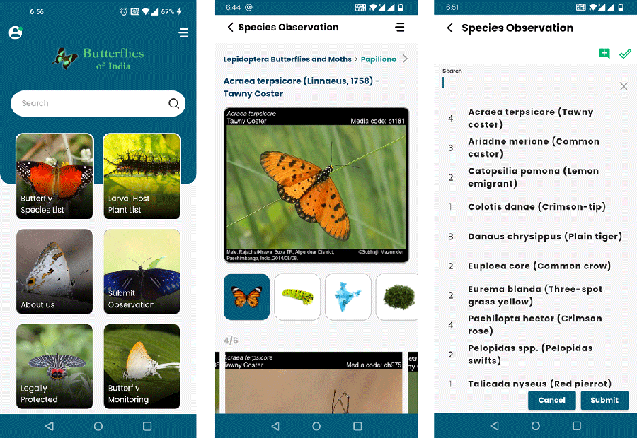 Mobile APP